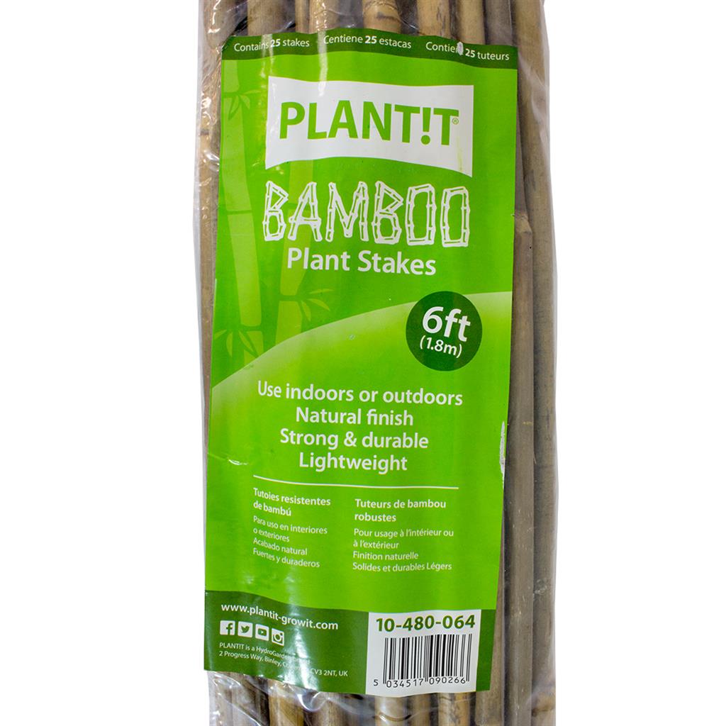 Bamboo Stakes - Pack of 25