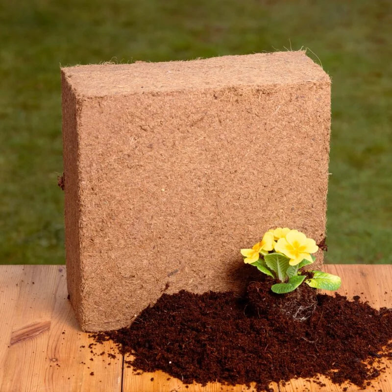 Coco Coir Compost 75L