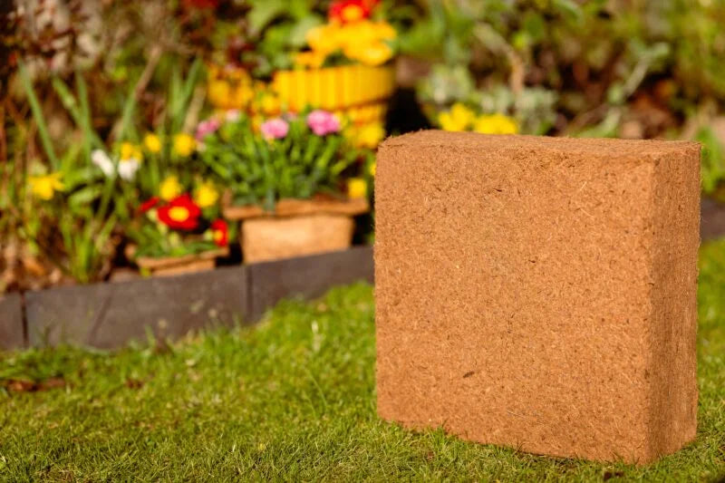Coco Coir Compost 75L