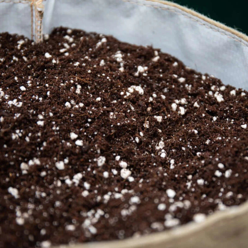 Ecothrive Coco Lite 70/30 50L