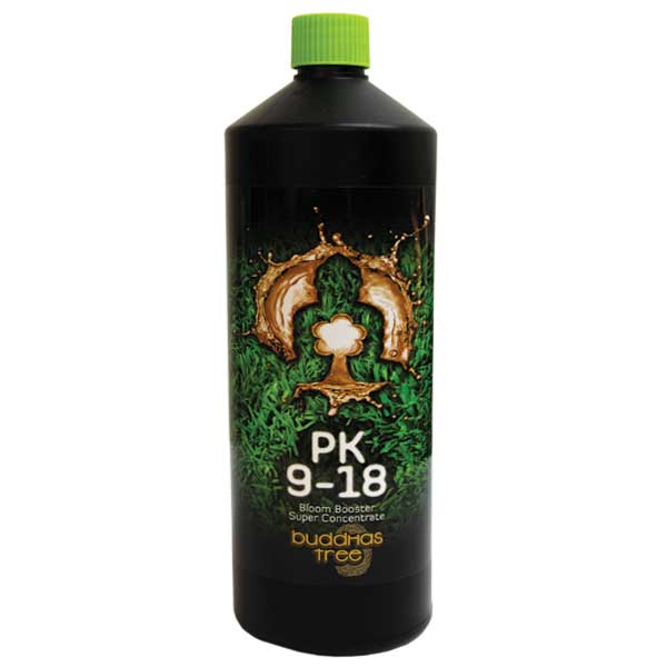 Buddahs Tree - PK 9/18