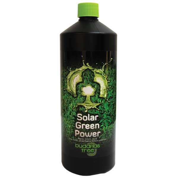 Buddahs Tree - Solar Green Power