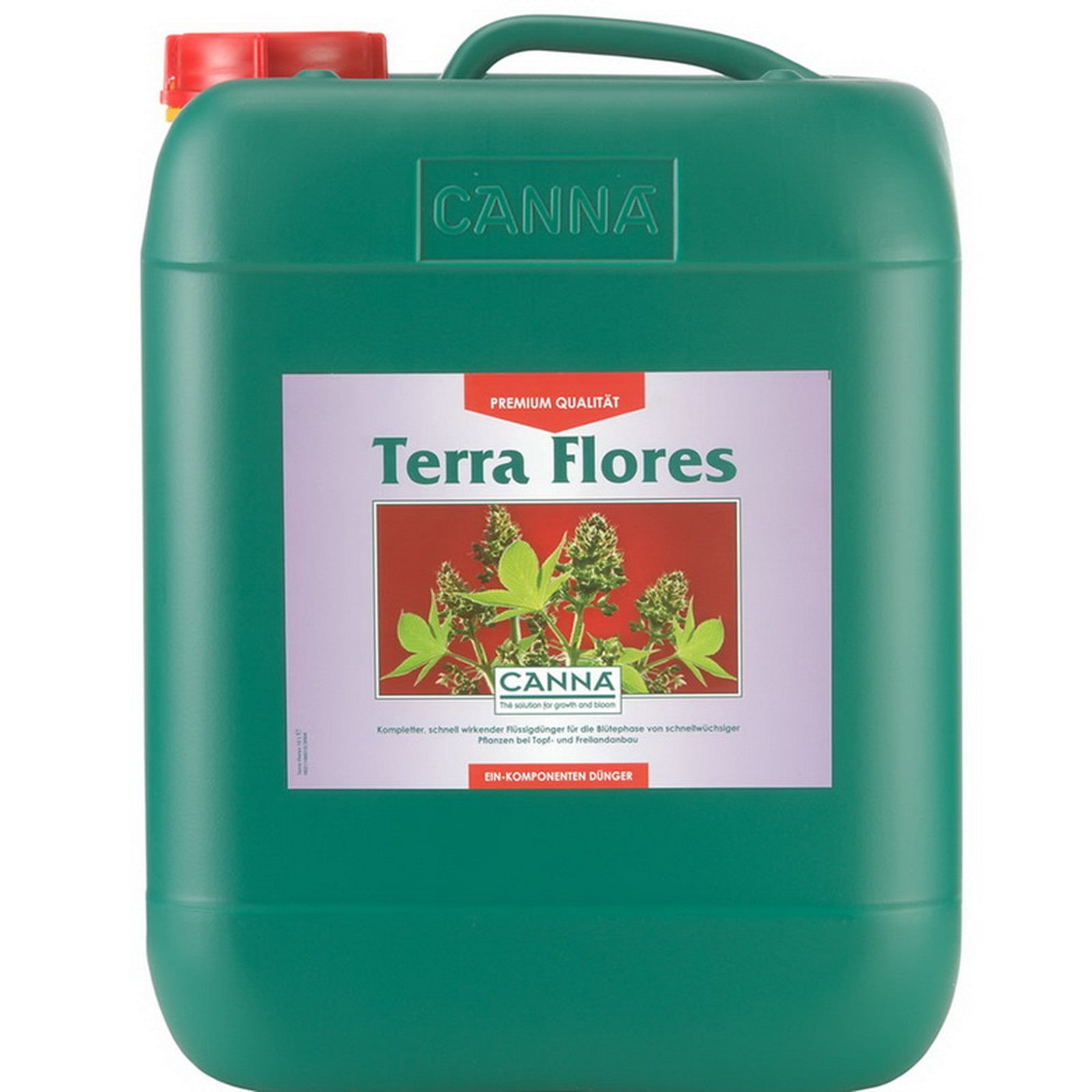 Canna - Terra Flores