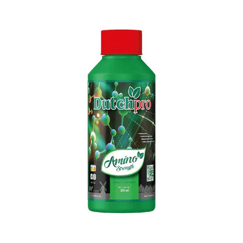 Dutch Pro - Amino Strength