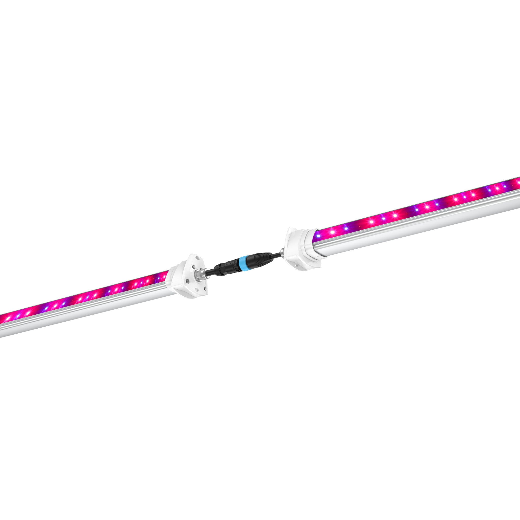 Maxibright MaxiLED Under Canopy LED 120W x 2