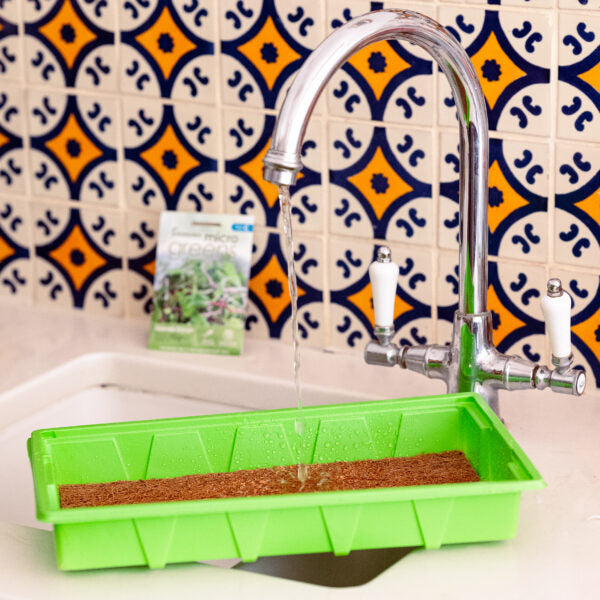 Grow Your Own Microgreens Kit – Seed Propagator