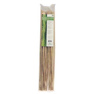 Bamboo Stakes - Pack of 25