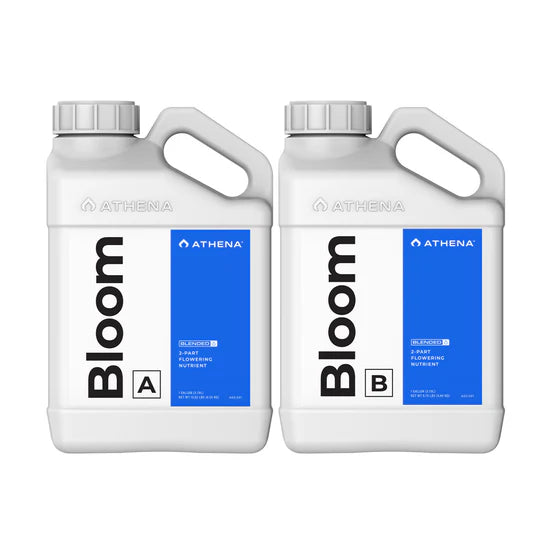 Athena Blended Line Bloom A&B