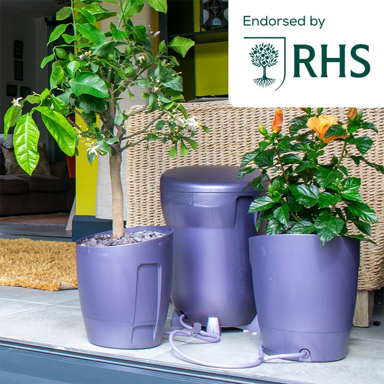 Khloris Self-Watering System