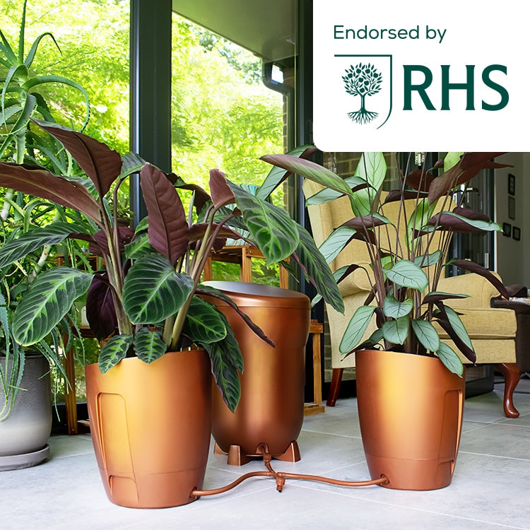 Khloris Self-Watering System