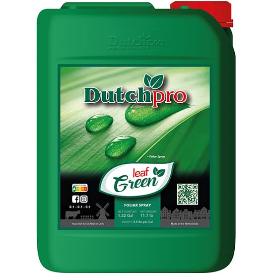 Dutch Pro - Leaf Green