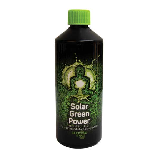 Buddahs Tree - Solar Green Power