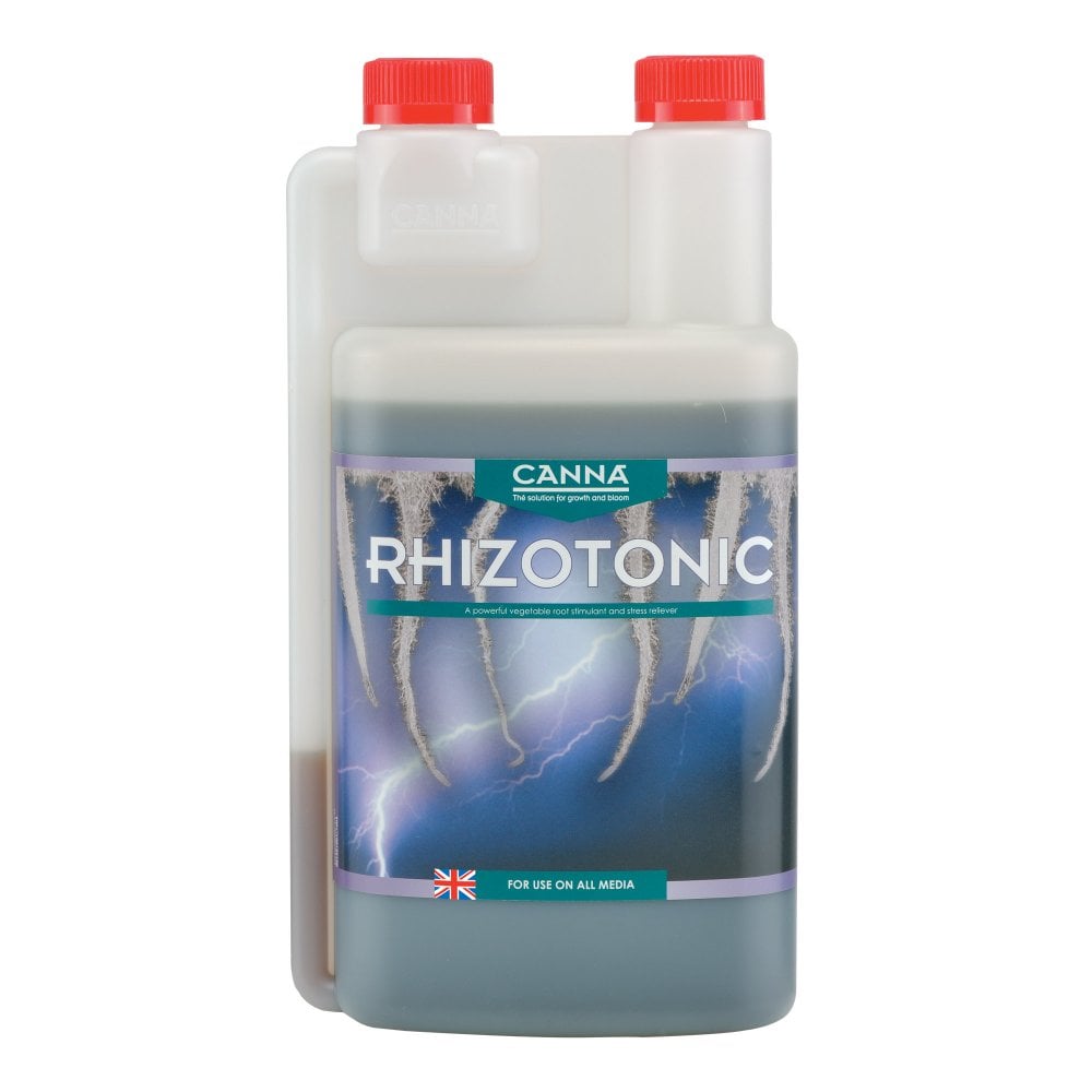 Canna - Rhizotonic