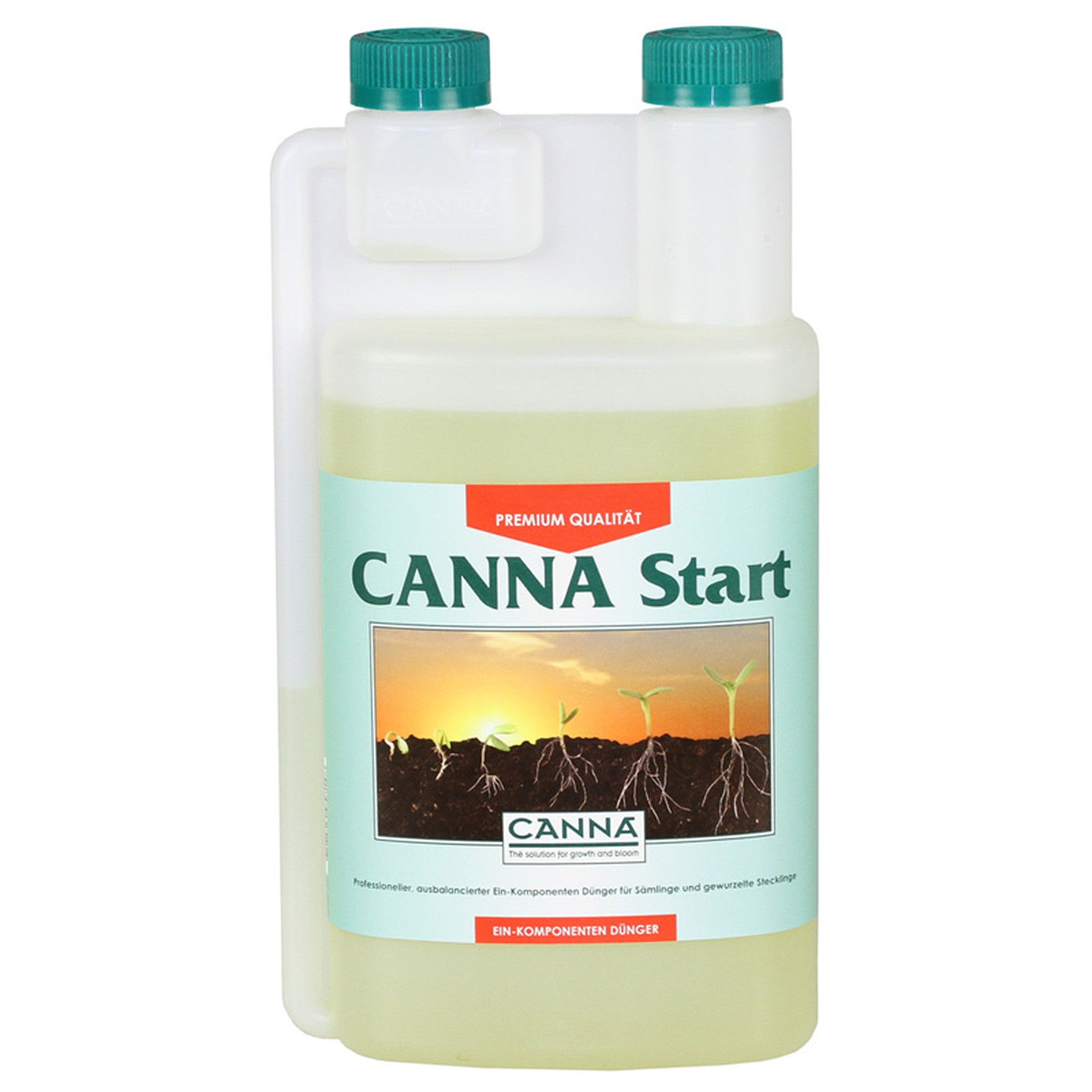 Canna - Start