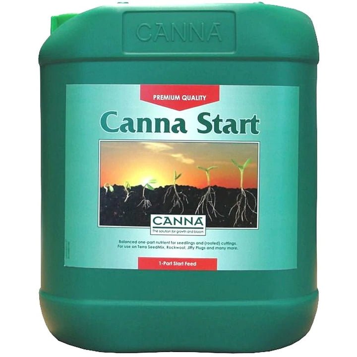 Canna - Start