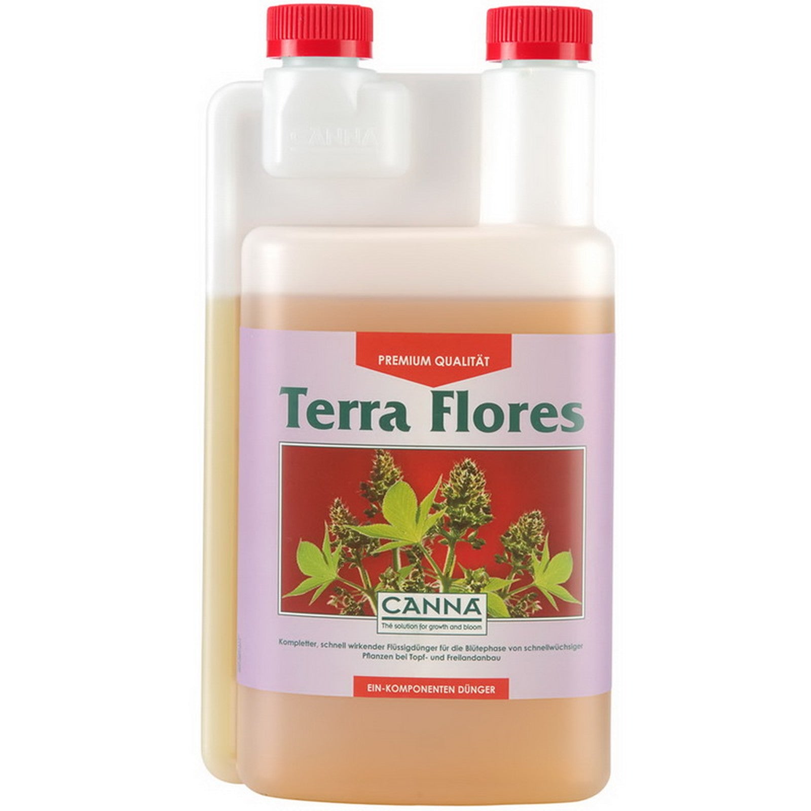 Canna - Terra Flores