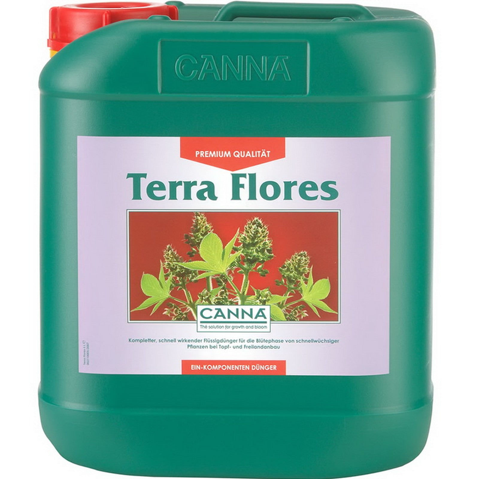 Canna - Terra Flores