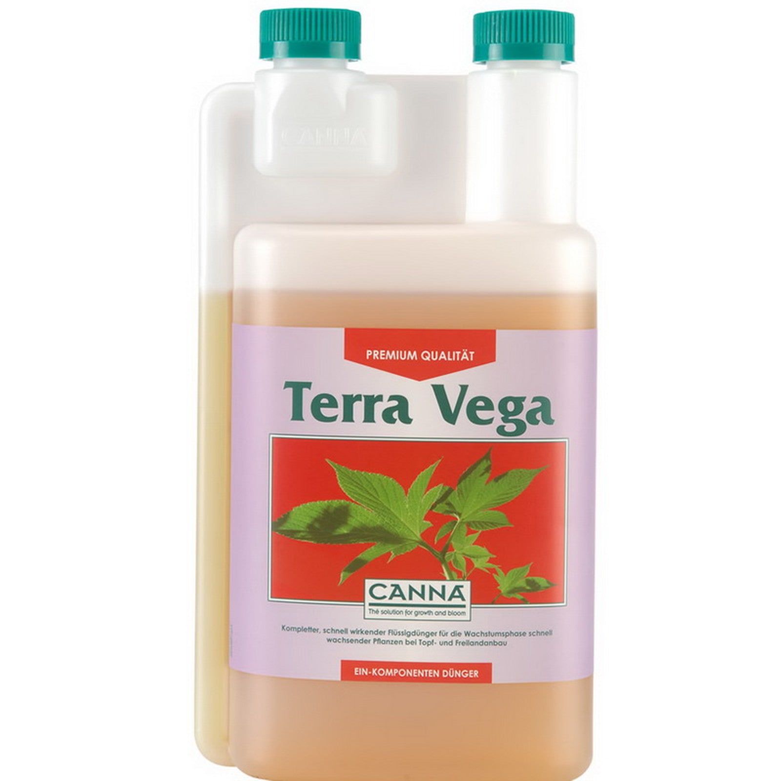 Canna - Terra Vega