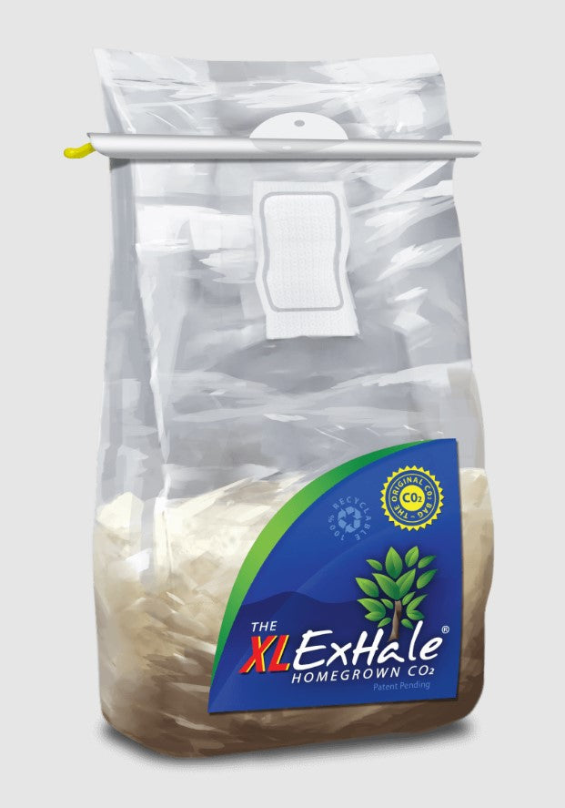 ExHale CO2 bag