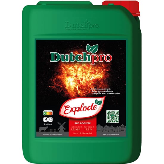 Dutch Pro - Explode