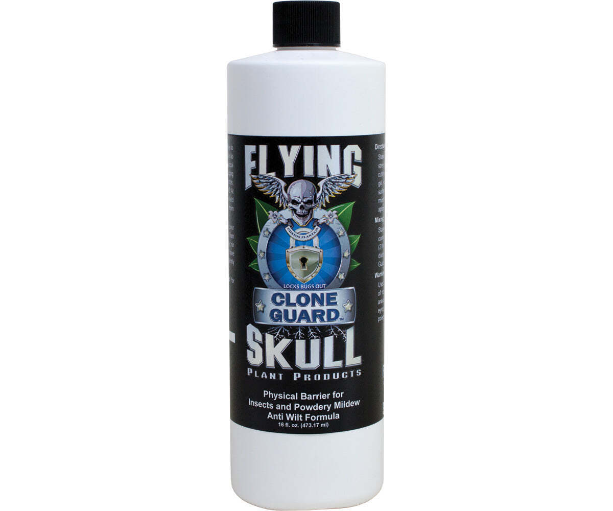 Flying Skull Clone Guard