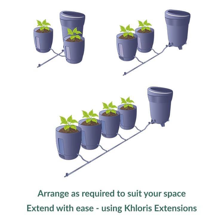 Khloris Self-Watering System