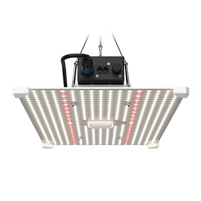 LUMii BLACK Blade 200W LED