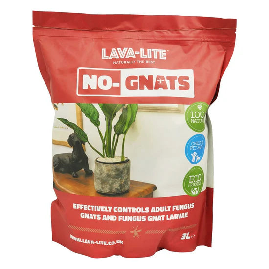 Lava-Lite No Gnats 3L