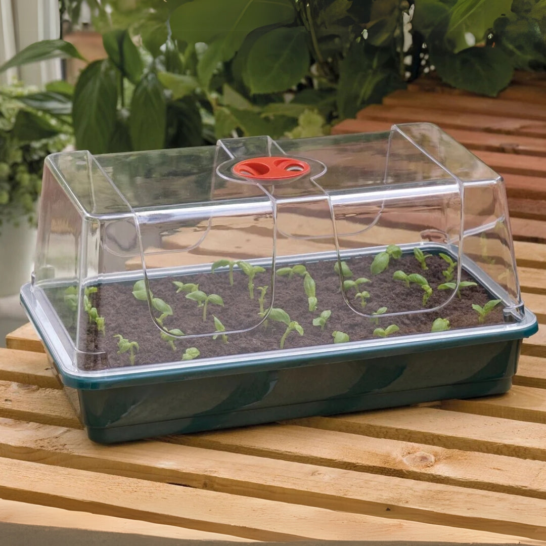 Garland Propagators