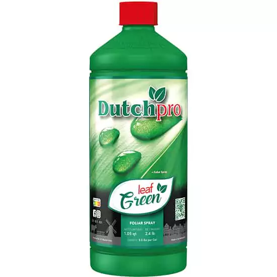 Dutch Pro leaf green