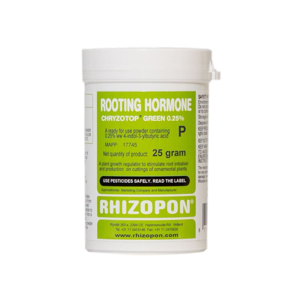 rhizopon rooting hormone