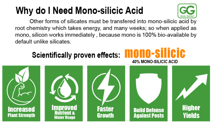 grow genius mono silicic acid