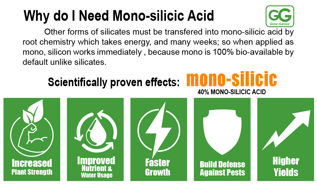 grow genius mono silicic acid